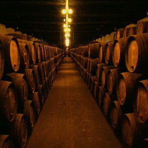 Bodegas de vino de Oporto