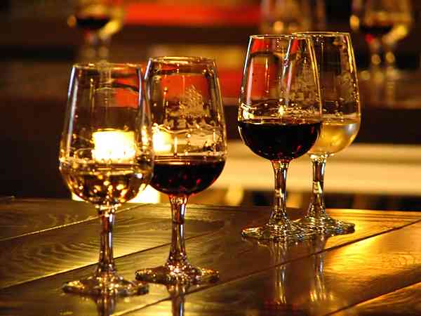 Visita a la Bodega Calém