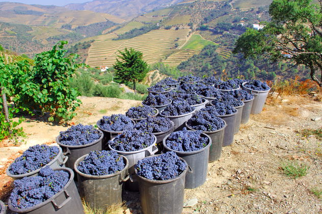 El Valle del Duero