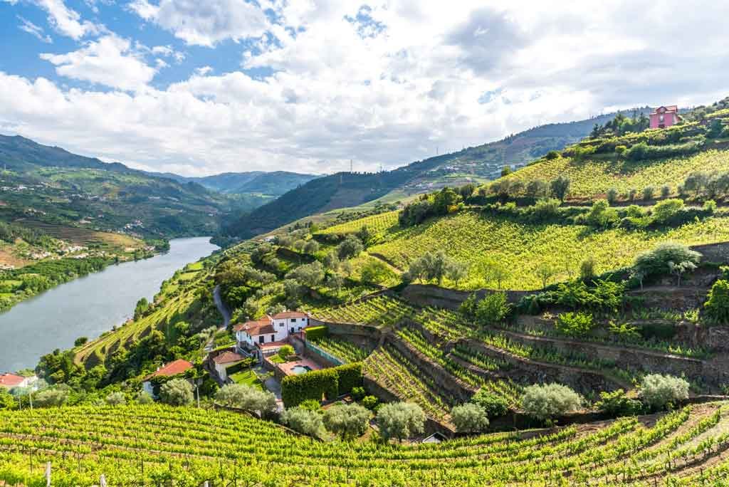 Valle del Duero (Douro)
